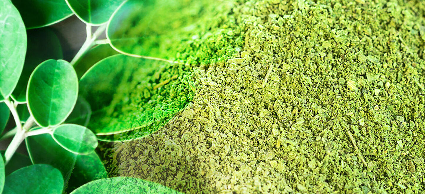 moringa and green powder