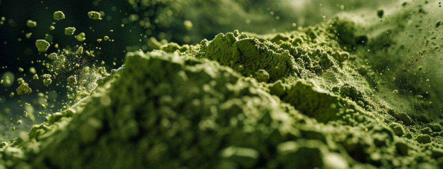 polvo de proteína verde