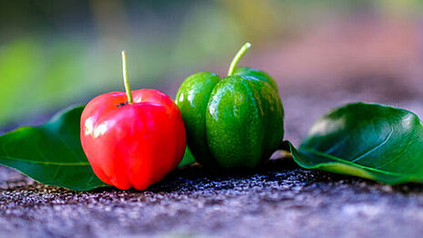 acerola