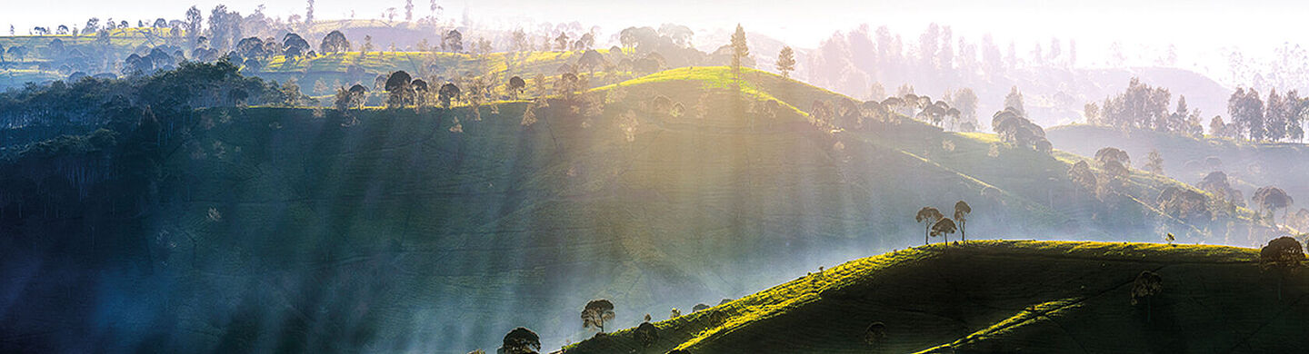 montanhas verdes