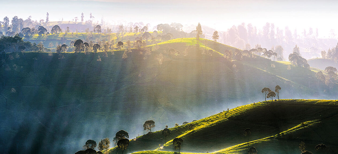 montañas verdes