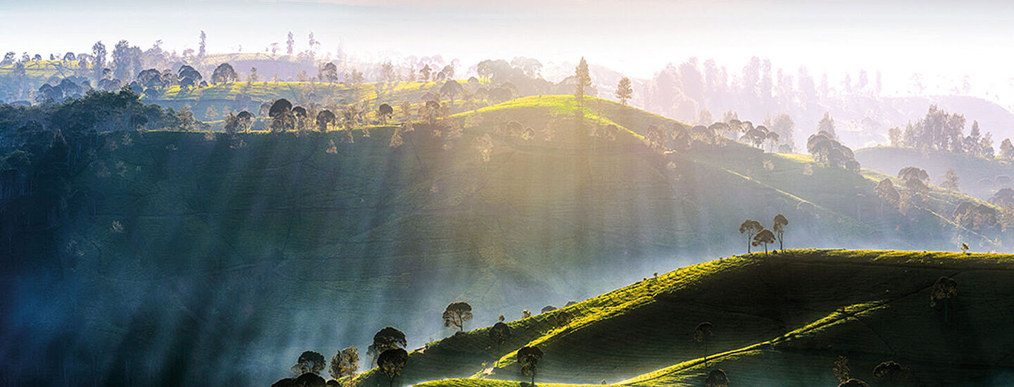 montañas verdes