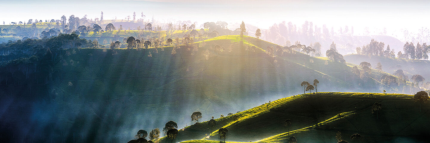 montañas verdes