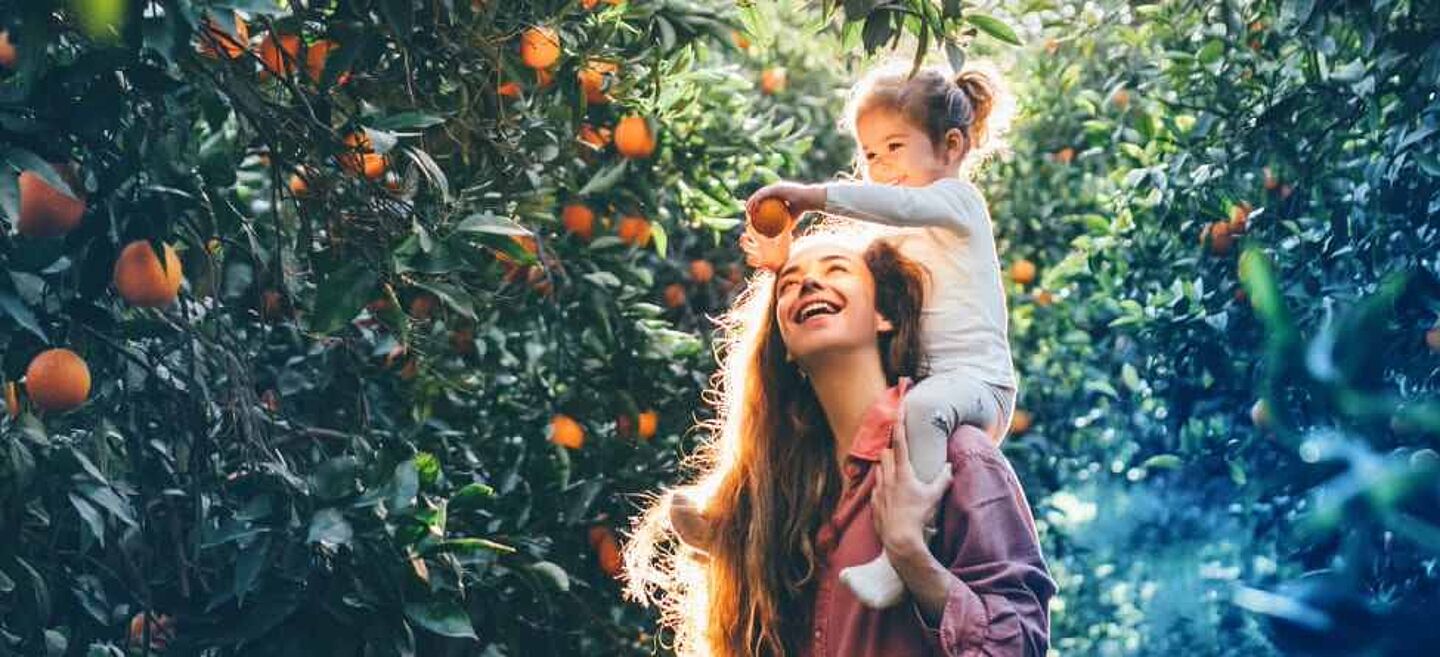 Mãe e filha a apanharem laranjas