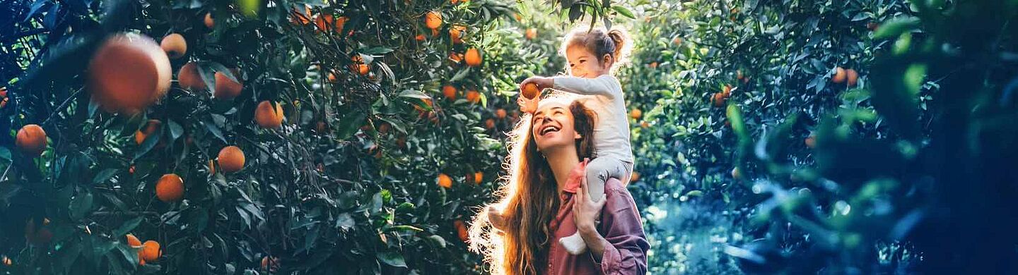 Mãe e filha a apanharem laranjas