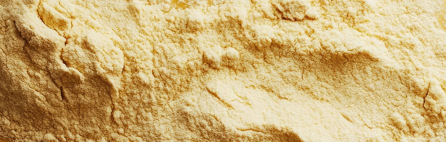 acerola powder