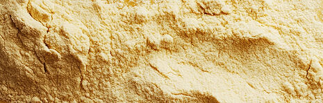 acerola powder
