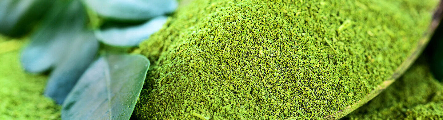 green powder and leaf