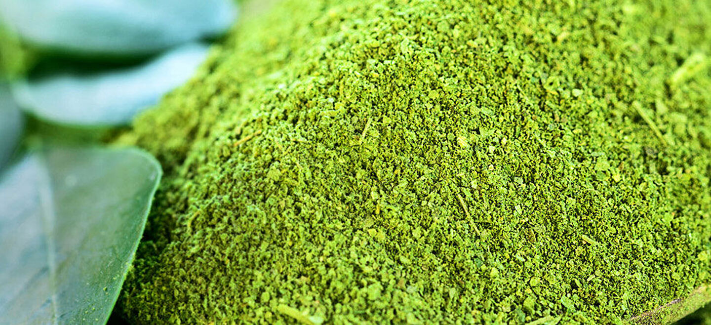 green powder and leaf