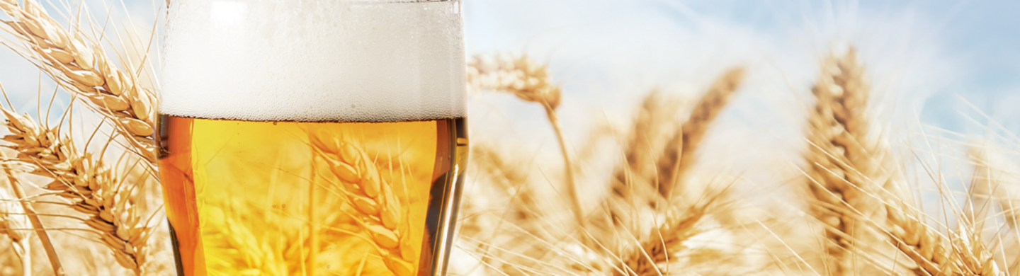 beer and wheat