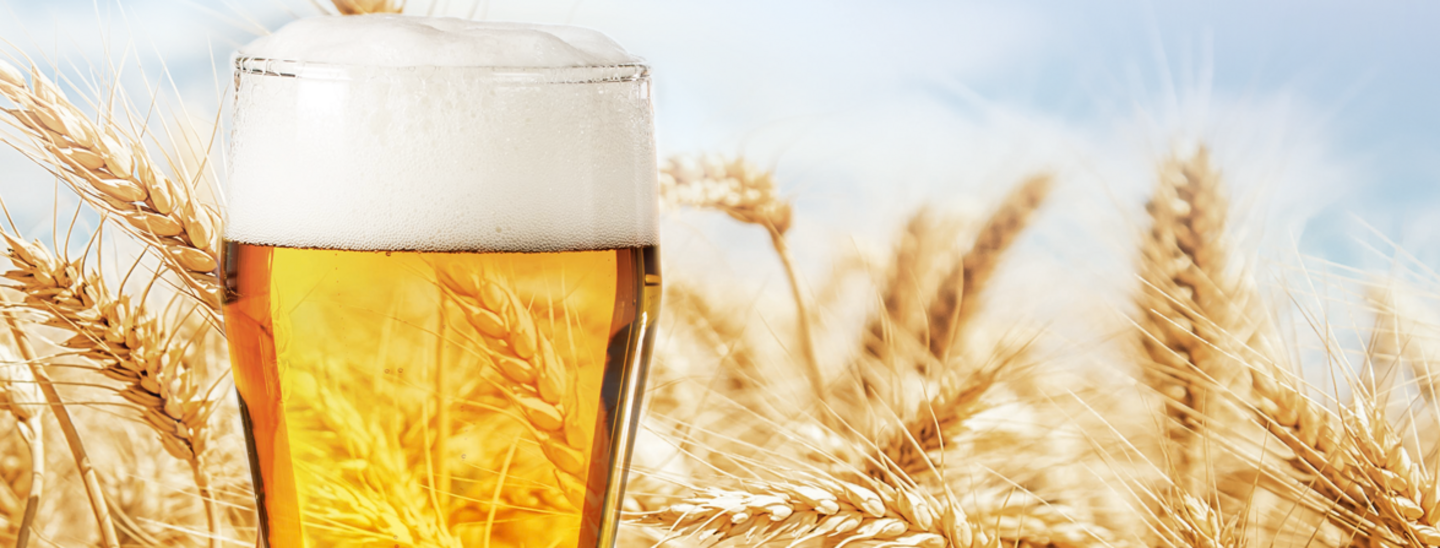 beer and wheat