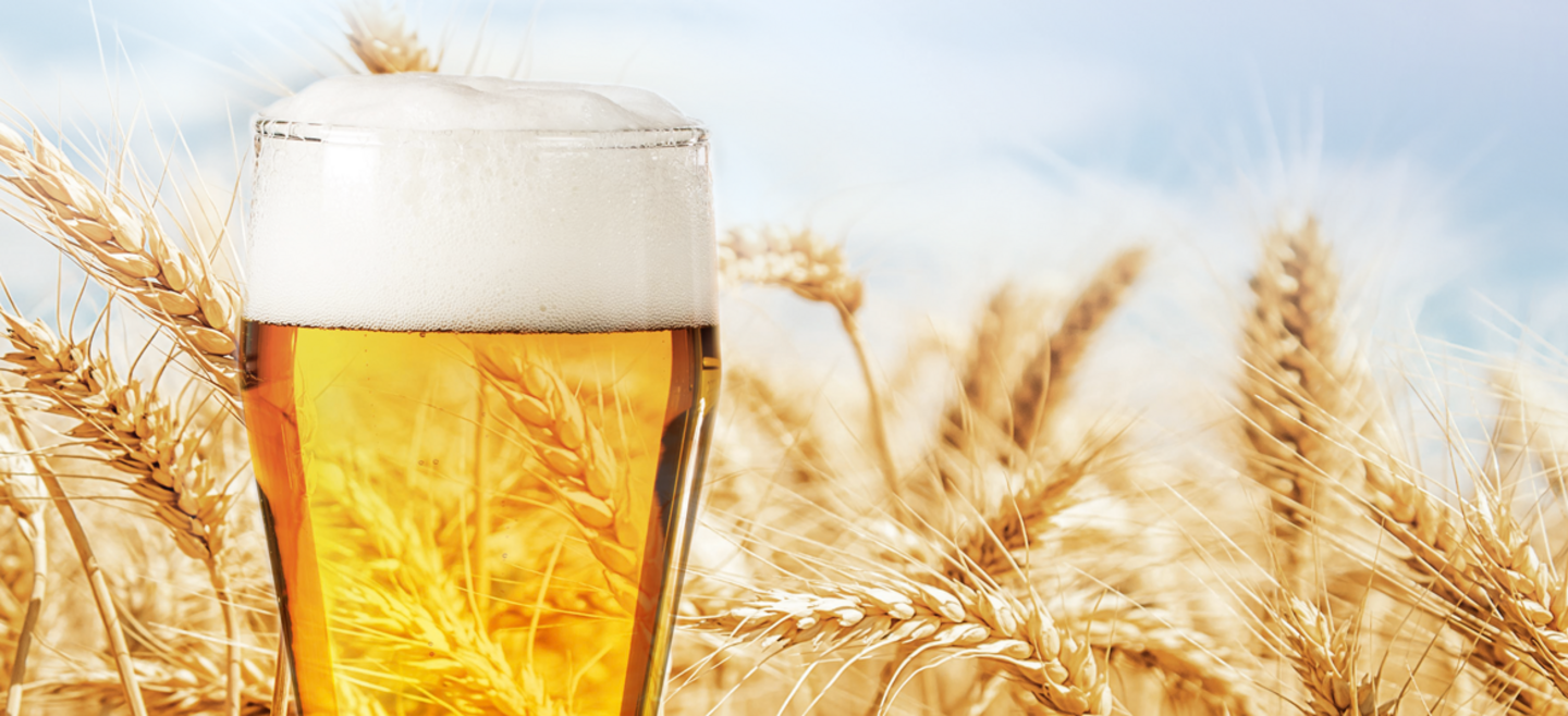 Bier und Weizen