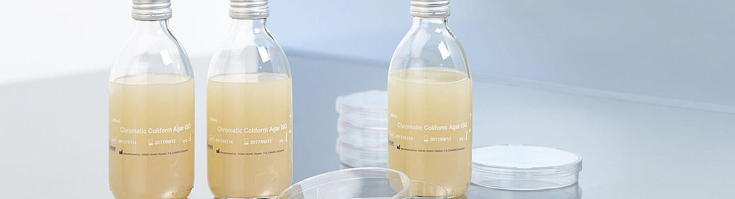 chrmogenener coliform agar 