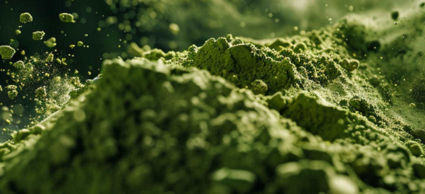 polvo de proteína verde