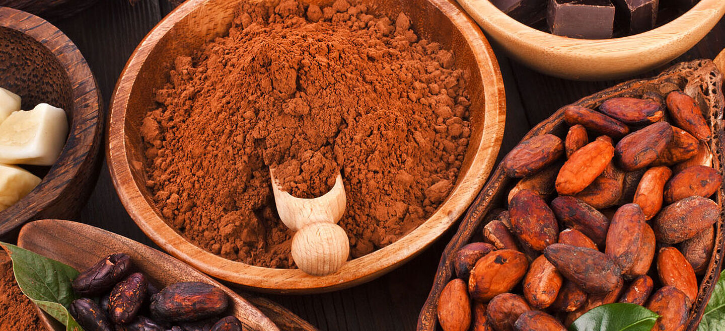 cocoa beans, chocolate powder, cocoa powder, chocolate bar