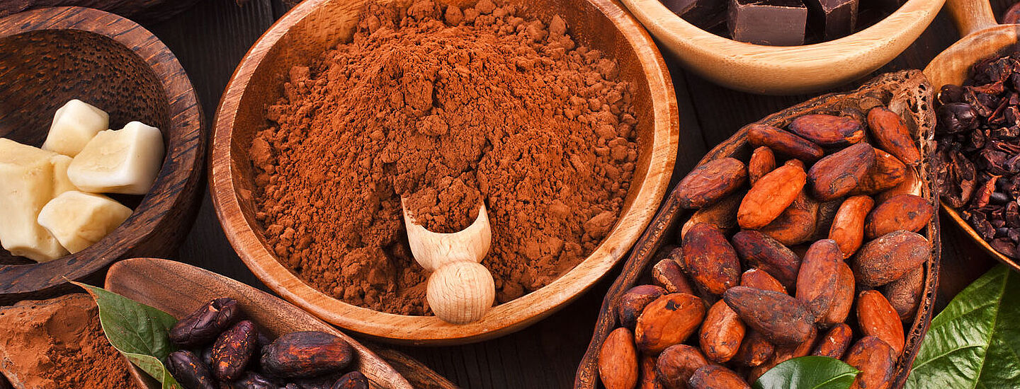 cocoa beans, chocolate powder, cocoa powder, chocolate bar