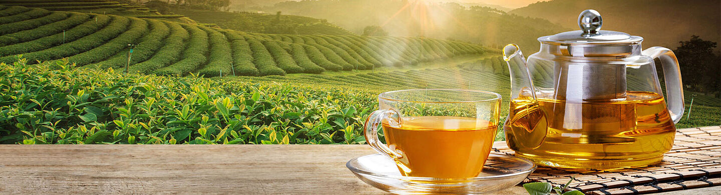 chá e campos de chá