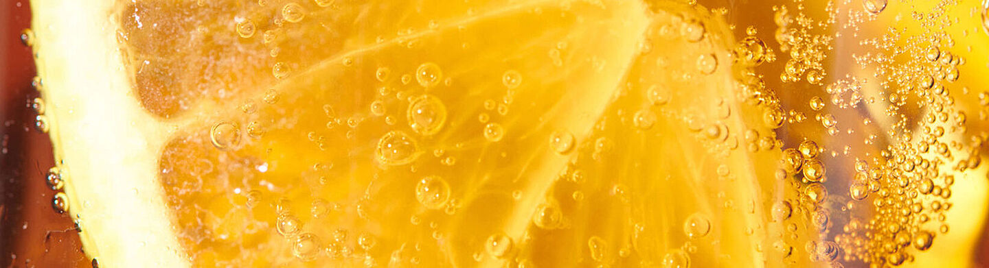 rodaja de naranja