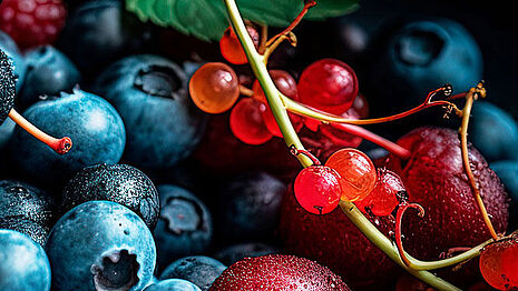 Blueberries and  red currants