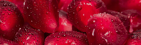 pomegranate