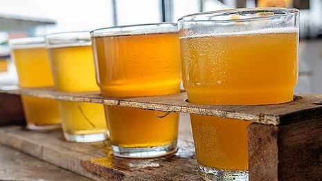 Cidergläser auf dem Tisch