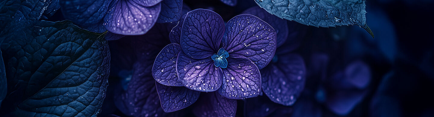 purple flower