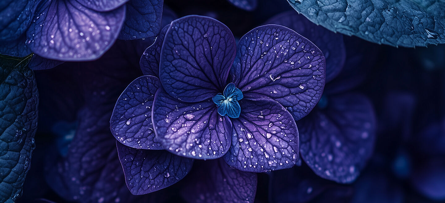 purple flower