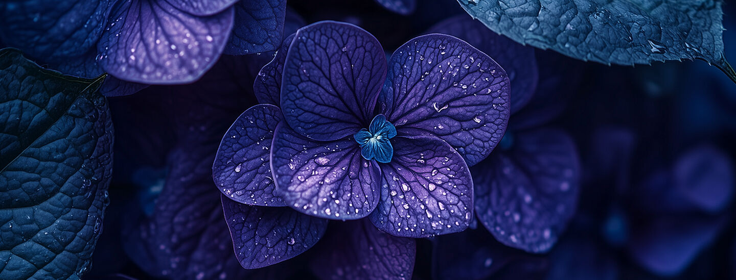 purple flower