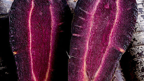 Beetroot